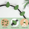 🌱Plant Climbing Wall Fixture Clips || Plant Support Clips🌿 BUY 30 & GET 30 FREE || 60 PCS