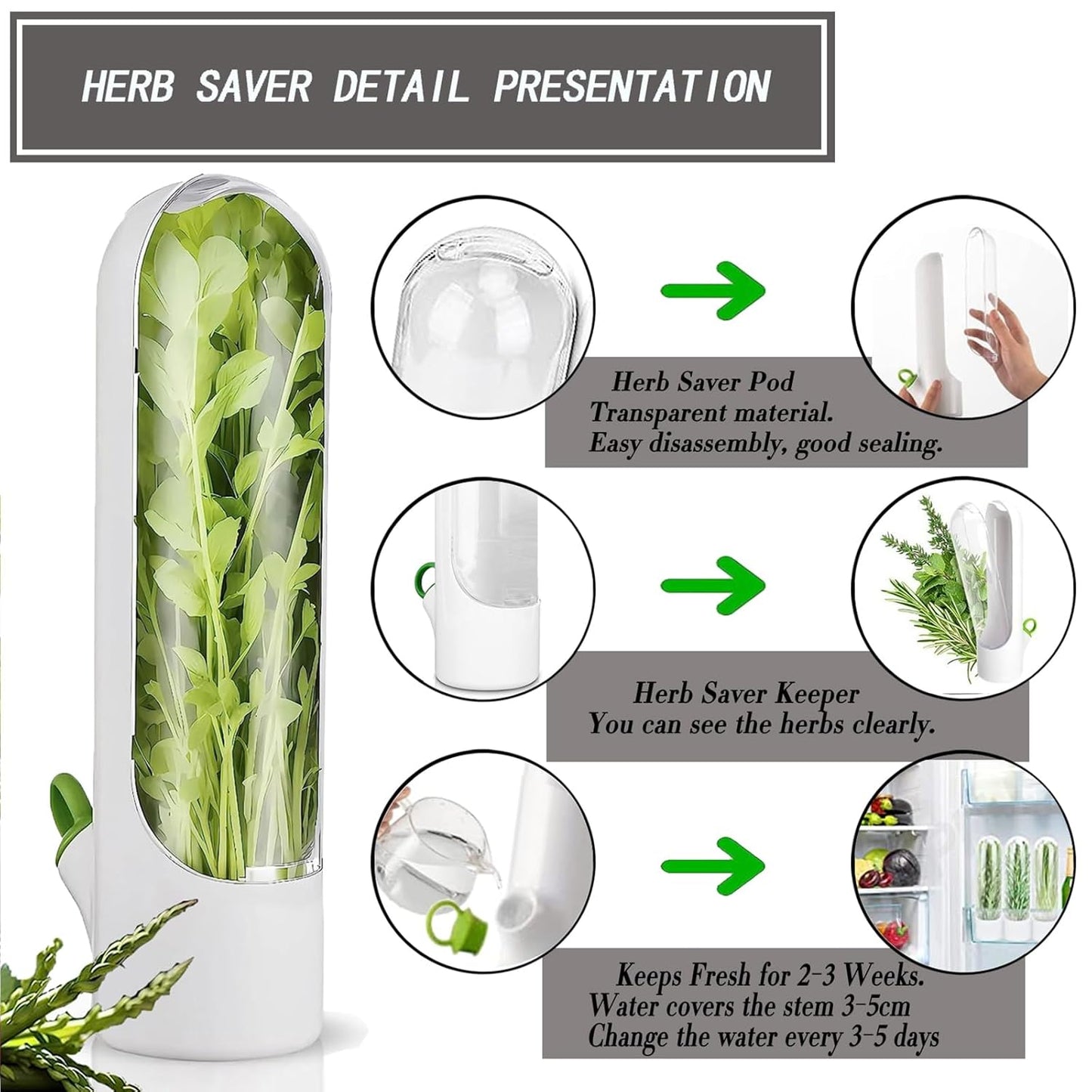 50% OFF - Fresh Herb Saver Container for Refrigerator – Long-Lasting Vegetable Storage & Space-Saving Fridge Organizer | Keeps Herbs Fresh for Weeks