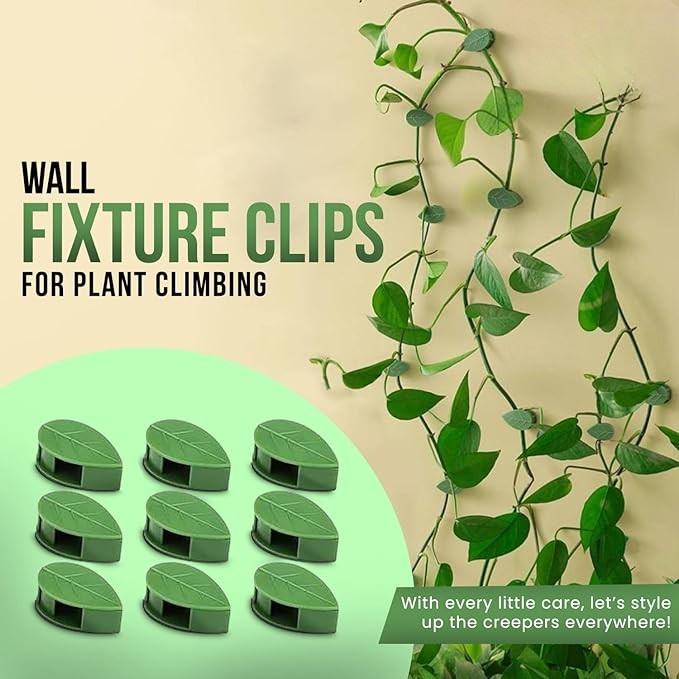🌱Plant Climbing Wall Fixture Clips || Plant Support Clips🌿 BUY 30 & GET 30 FREE || 60 PCS