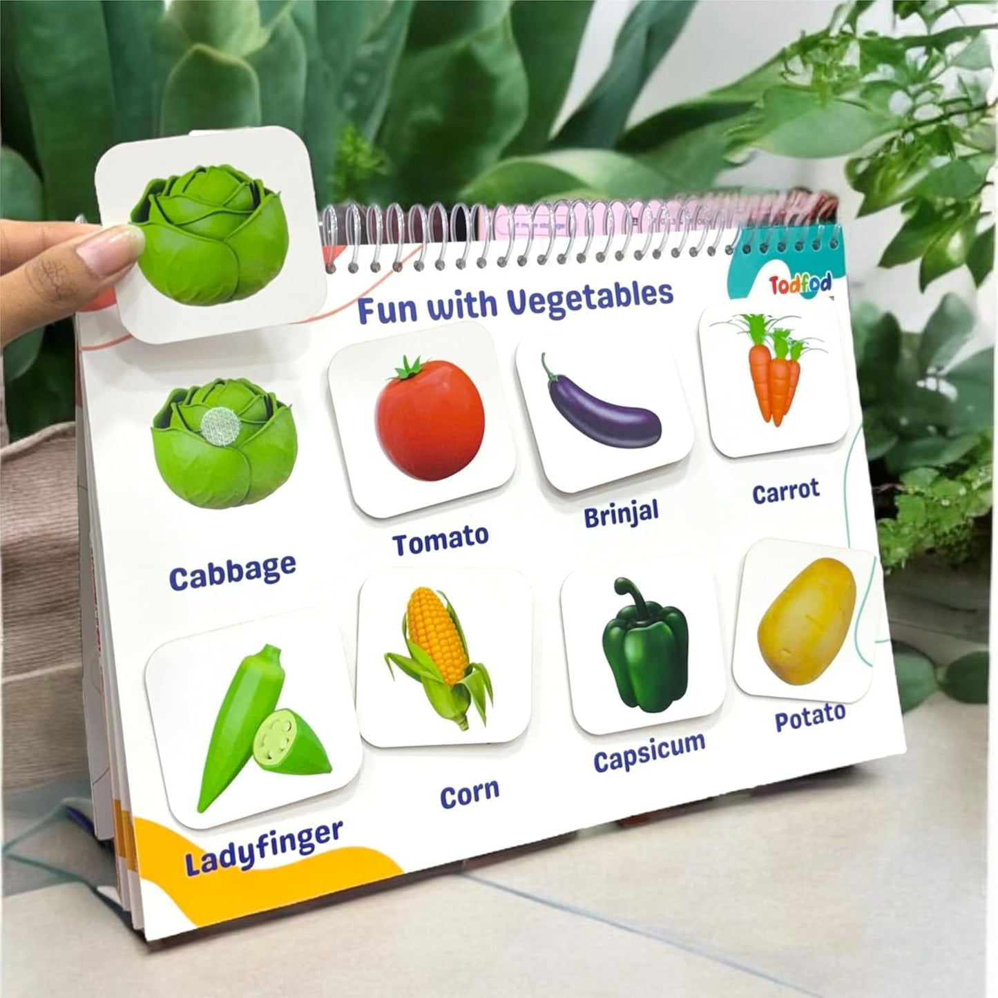 Toddler's Taste & Preschooler's Buddies All in one Learning Activity Book with Reusable Stickers + FREE Learning 2000+ pages PDF worksheet for kids📚