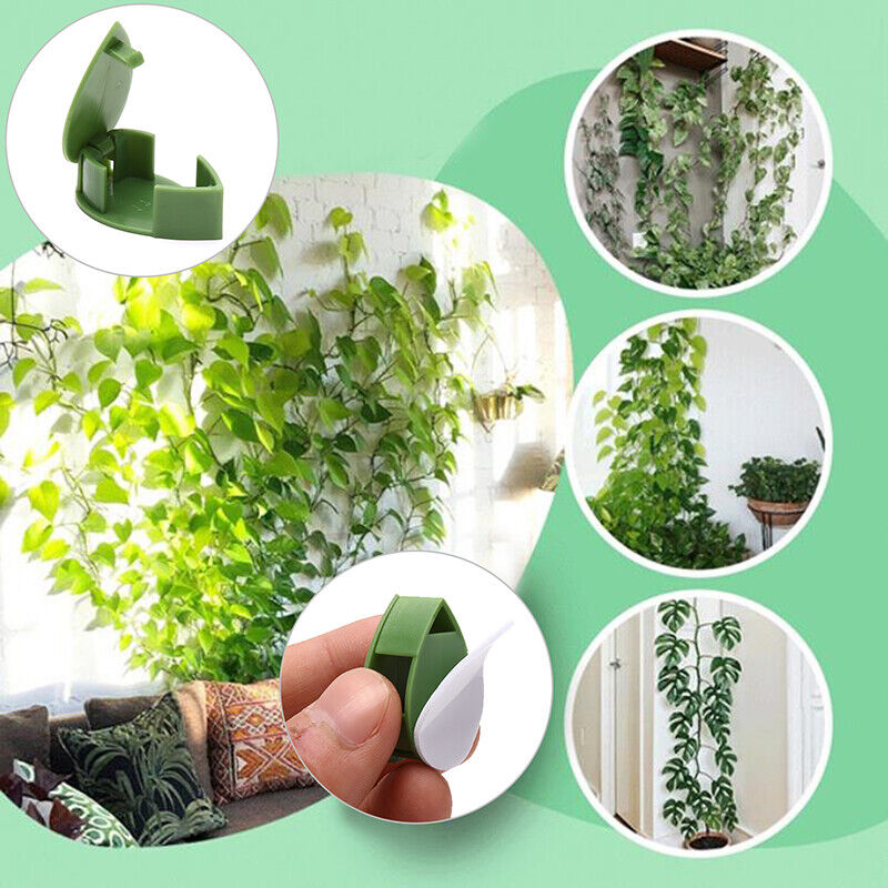 🌱Plant Climbing Wall Fixture Clips || Plant Support Clips🌿 BUY 30 & GET 30 FREE || 60 PCS